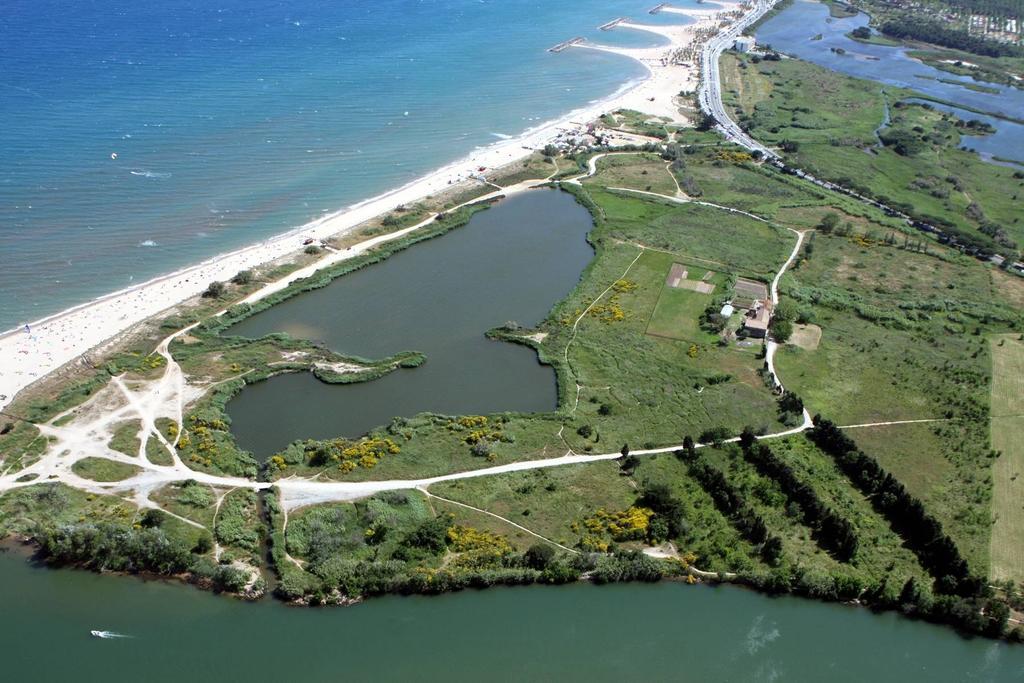 Au Reveil Des Cigales Hotel Saint Aygulf Kültér fotó